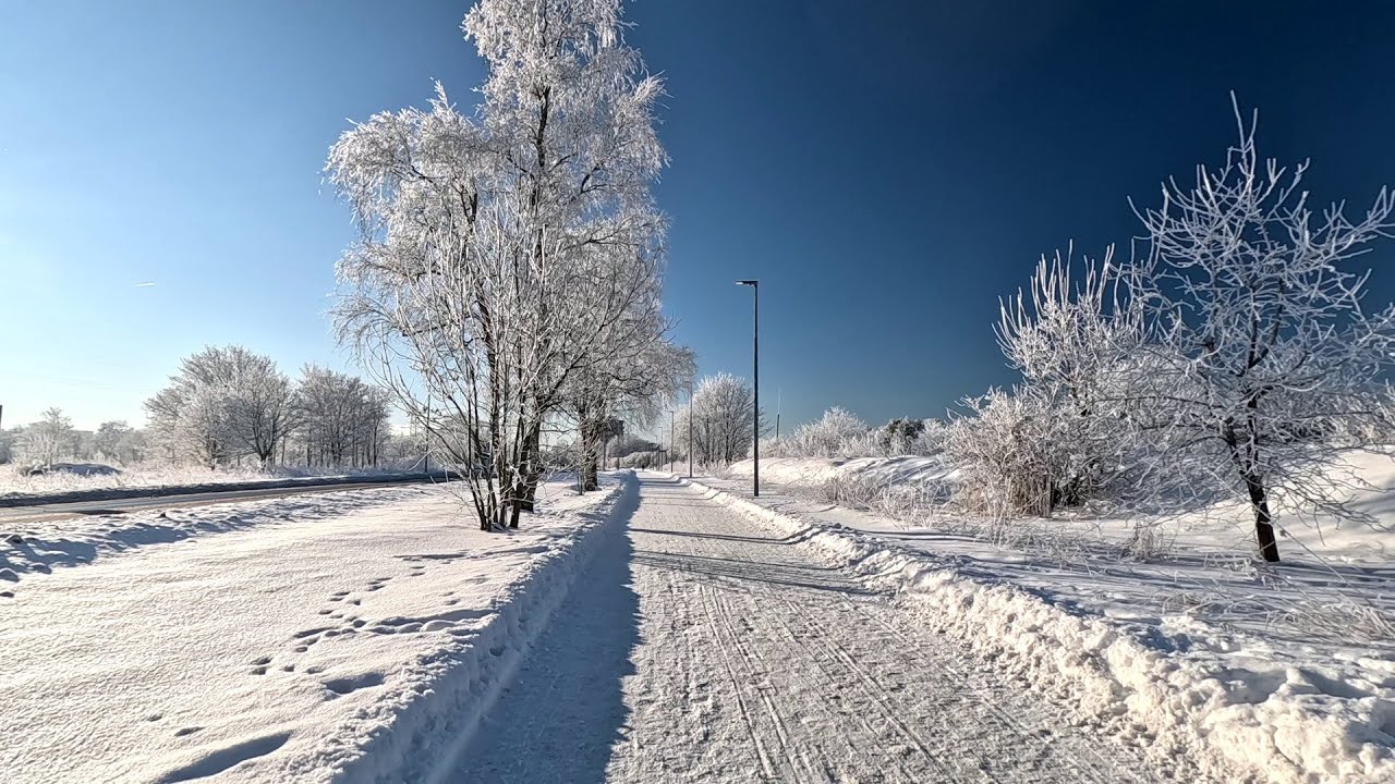 Tallinn by Bike: Sunny Winter Ride