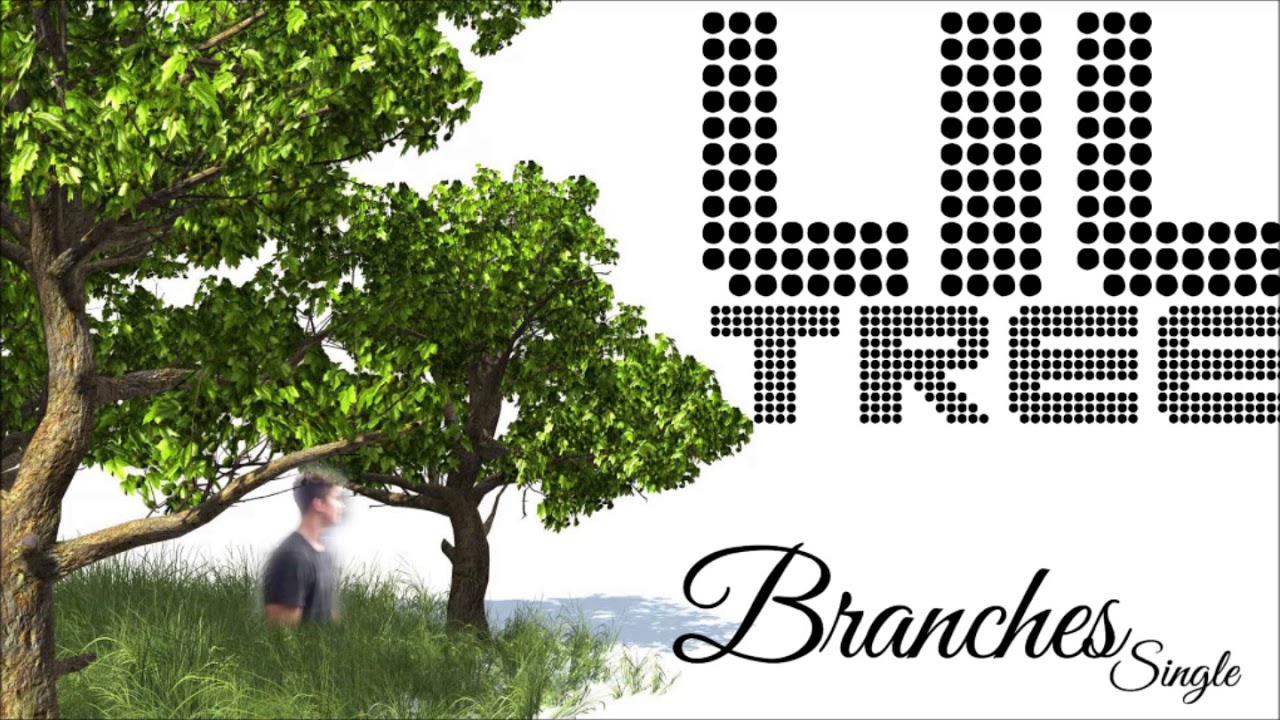 Branches by Lil Tree (Audio)