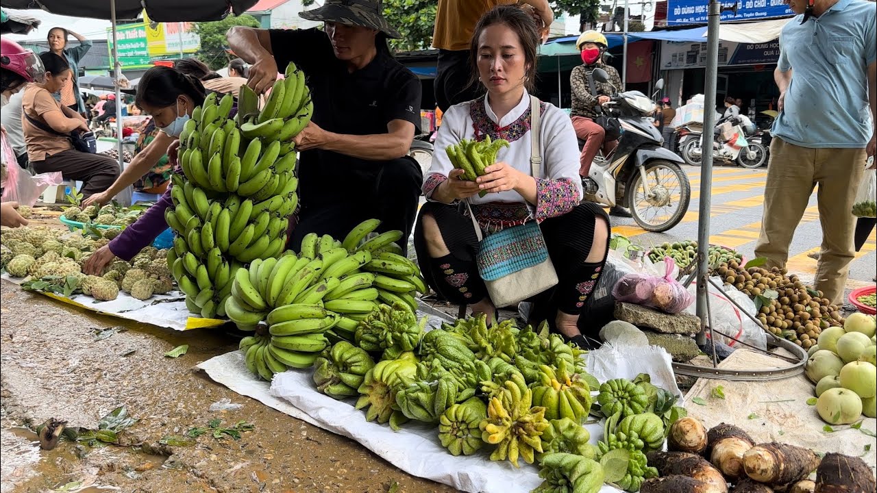 Harvesting Strange Fruit - Banana - Goes to the market sell - Vàng Hoa