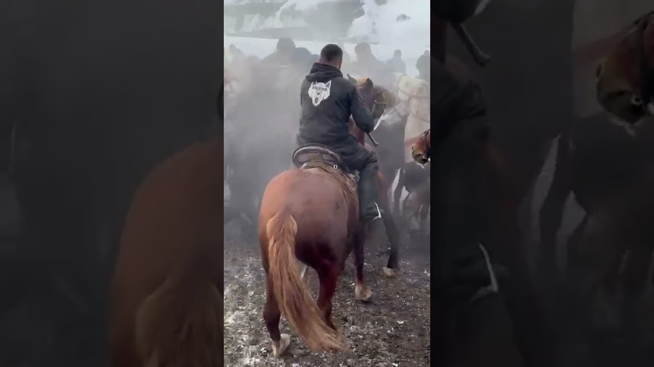 улак кайнаптырго чиркин