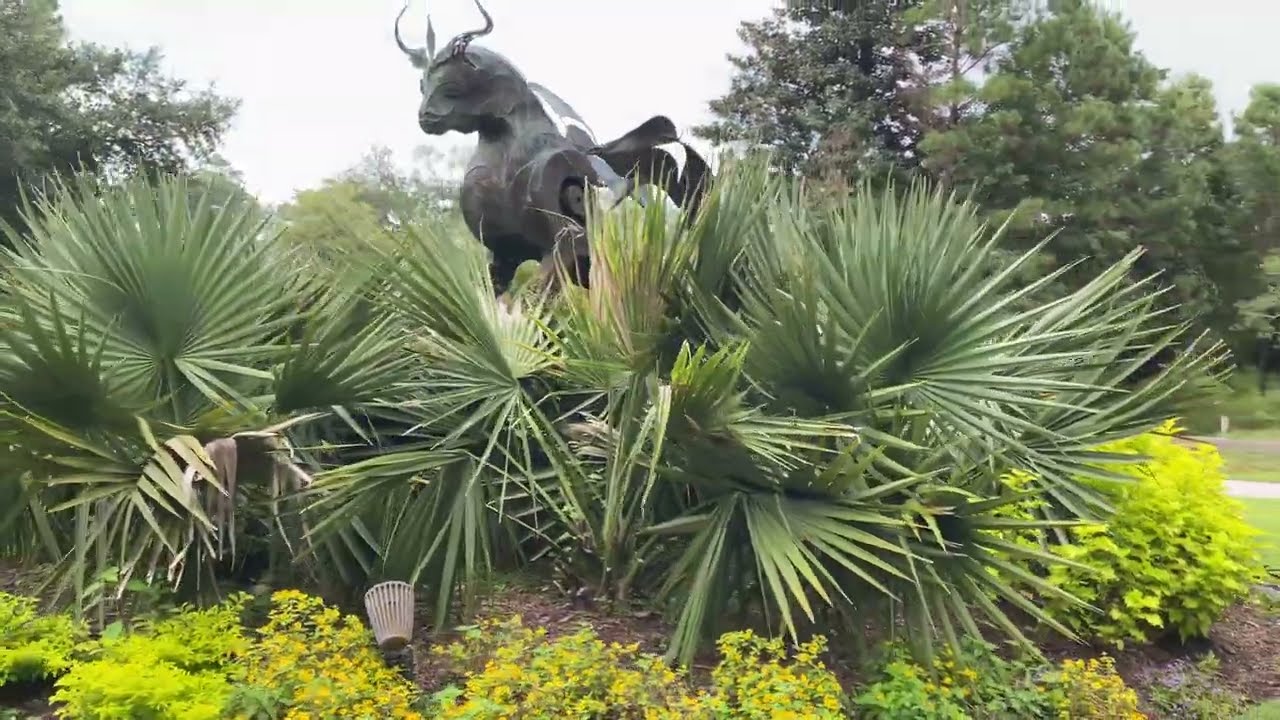 Airlie Gardens Wilmington North Carolina Palm Trees
