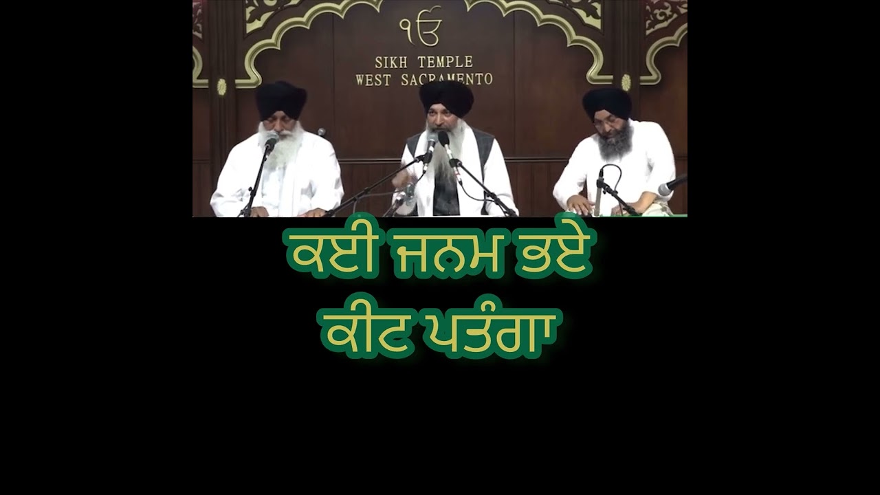 Kiee Janam Bhe Keet Patanga | Bhai Sarbjeet Singh Ji