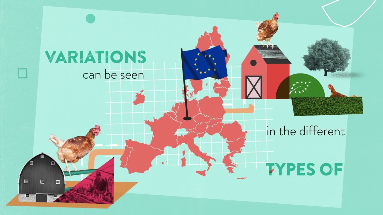Economics and Market developments - Transition to cage-free systems