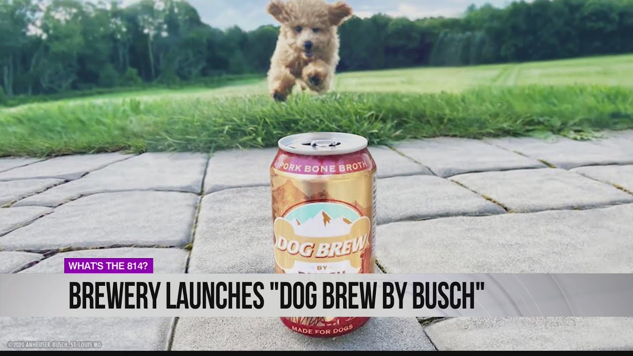 Brewery launches 