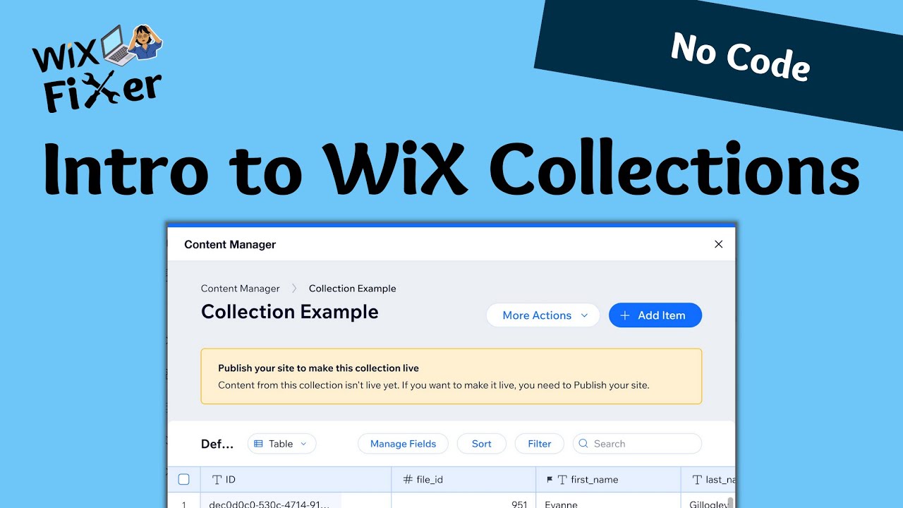 Intro to WiX Collections - Managing Data in WiX - WiX CRM | No Code