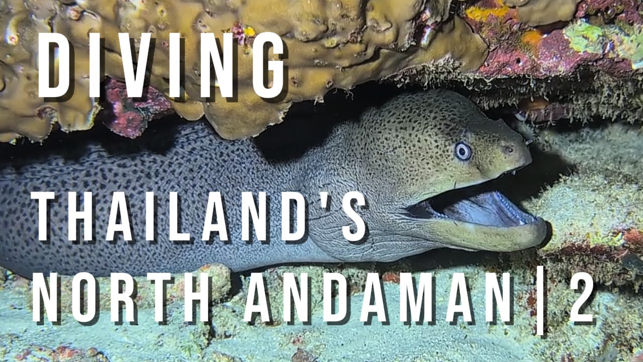 Thailand's North Andaman Diving 2
