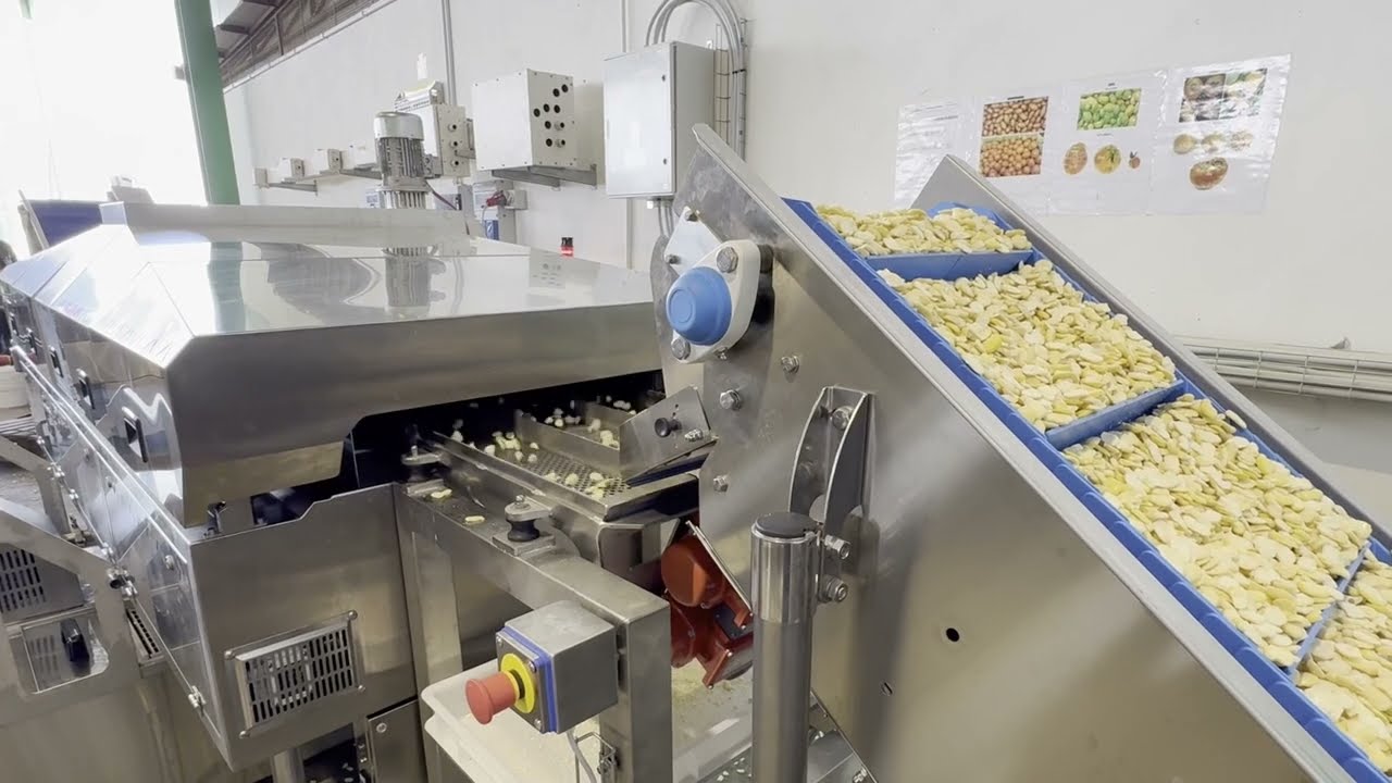 Installazione Linea di frittura automatica con aromatizzazione | Veneto Macchine