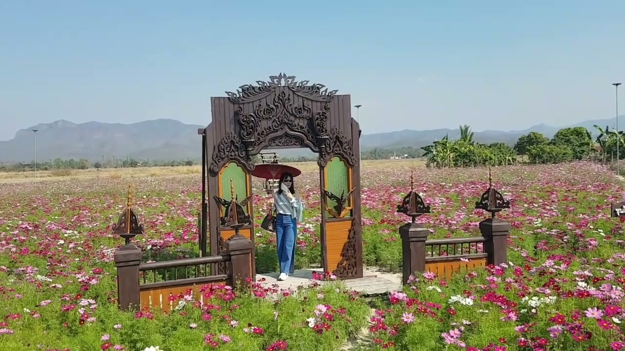 BANTHI FLOWER FESTIVAL// @BRUCKER'S CHANNEL