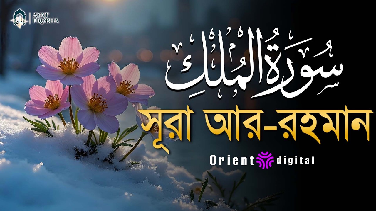 সূরা মুলক এর স্বর্গীয় তিলাওয়াতে আত্মাকে প্রশান্ত করুন ┇ Surah Al Mulk Recited by Mostafa Al Lahoni