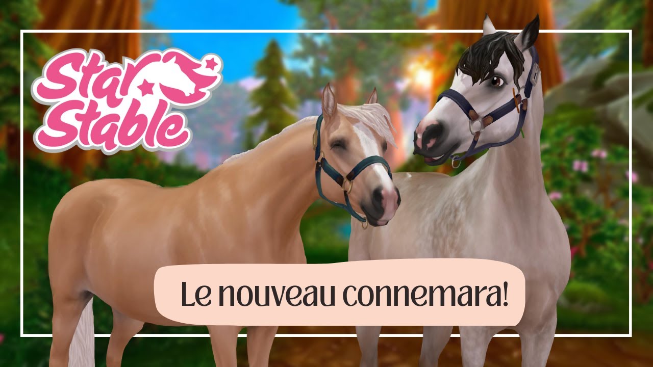 Refonte du Connemara (achat + revue) -Maj SSO