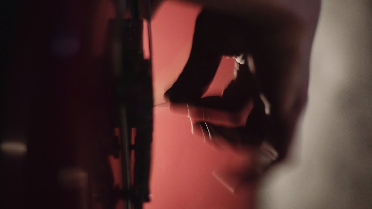 Animal Lover // Live in Guerrilla Sound Studio, Dublin