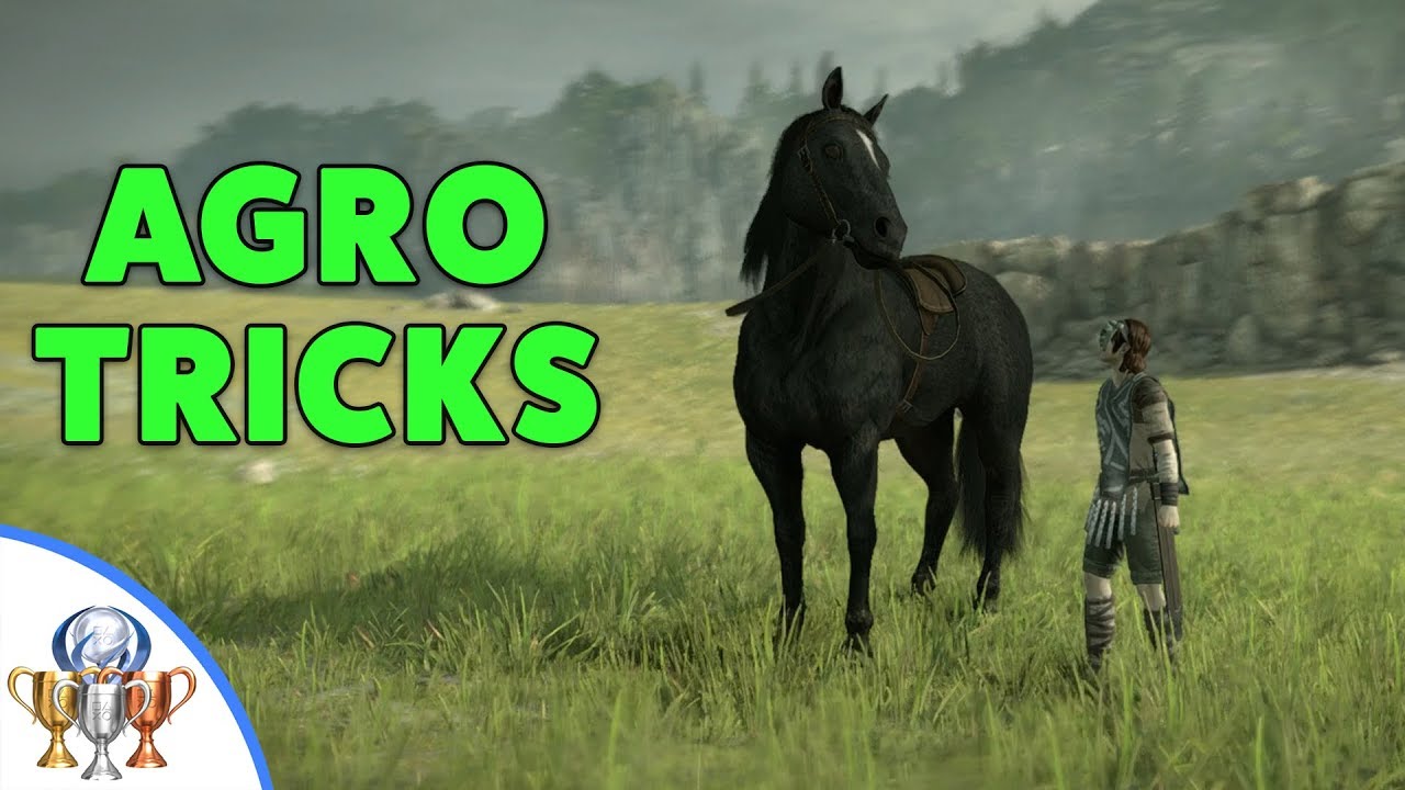 Shadow of the Colossus PS4 Remake - TRICK RIDER - All Stunts with Agro