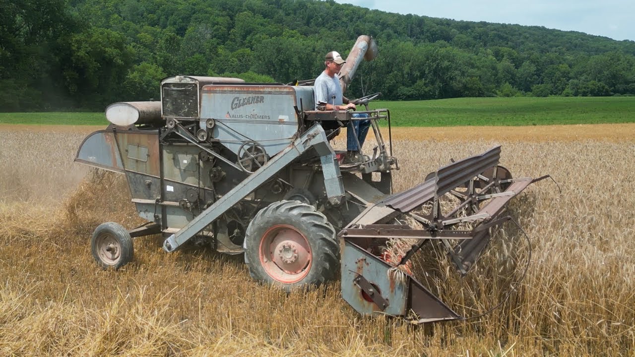 Harvesting with 63 Year Old Gleaner E Combine!