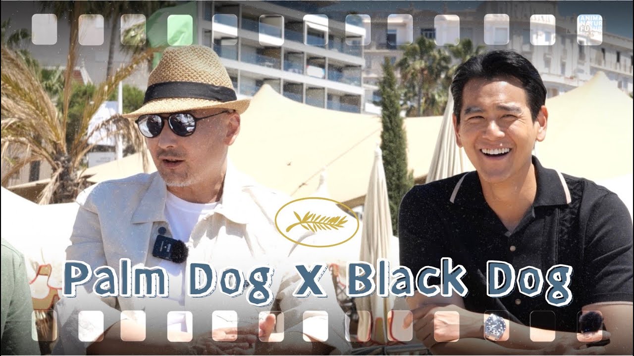 2024 Cannes Palm Dog | 