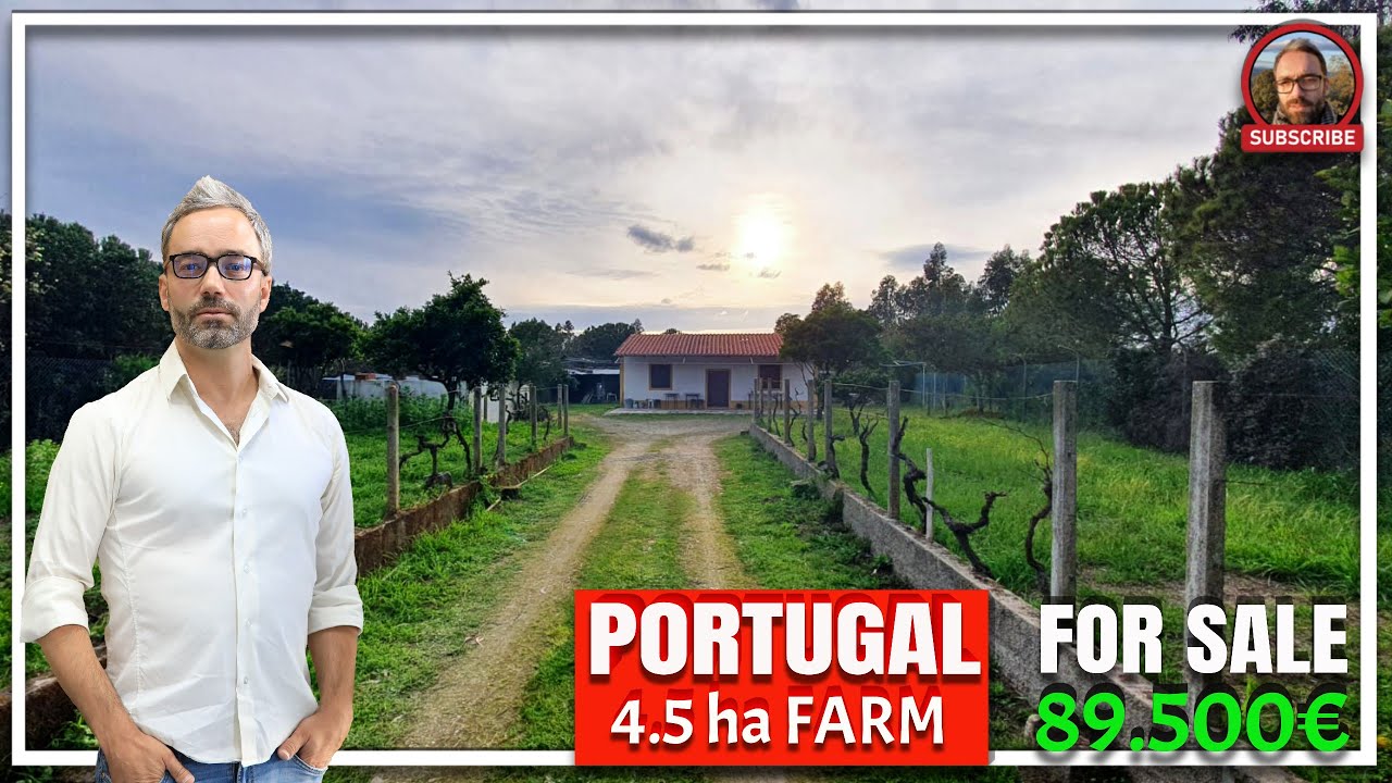 FARM FOR SALE CASTELO BRANCO, PORTUGAL, WITH 4.5HA - 89.500€ - QUINTA PARA VENDA EM CASTELO BRANCO