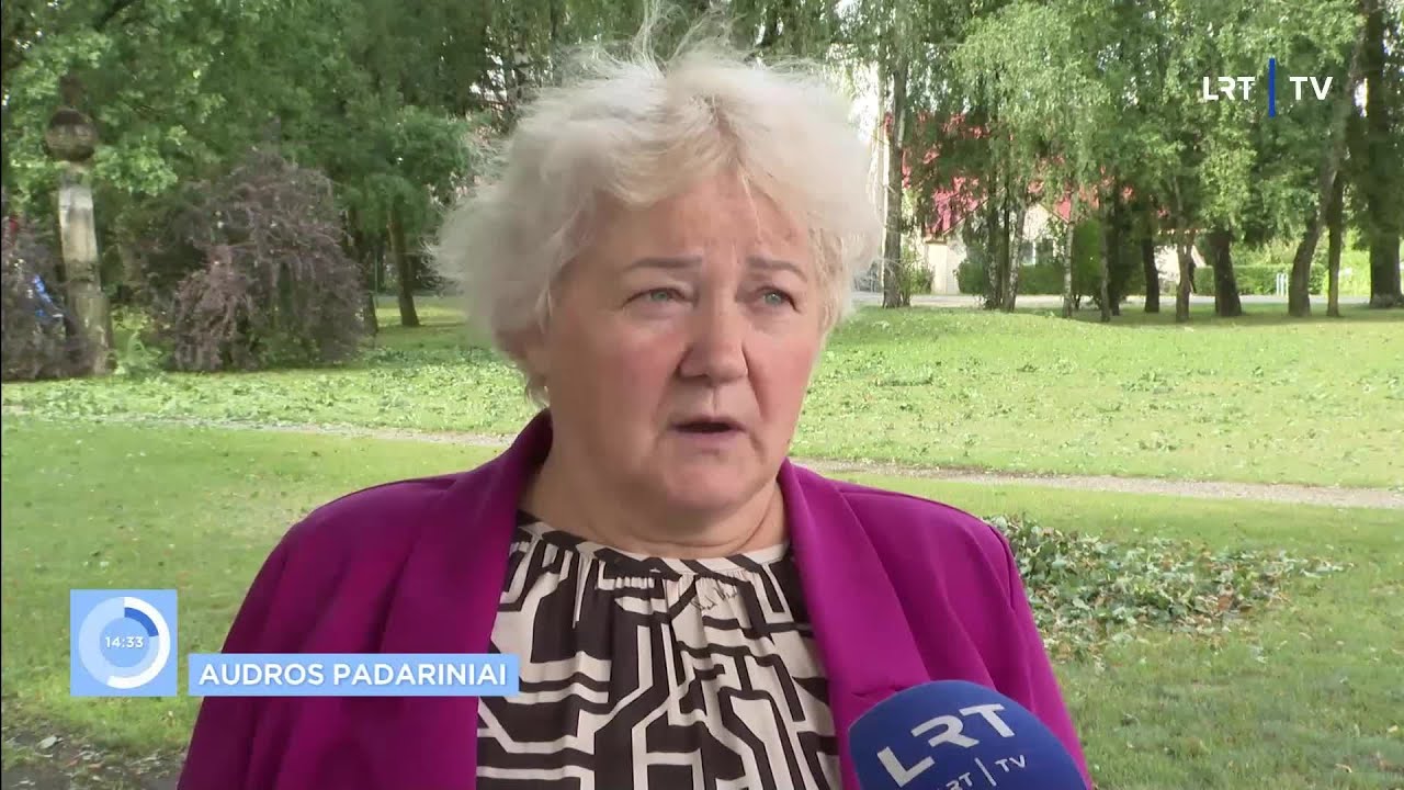 Išdaužyti langai ir suvarpyti stogai: Širvintų rajono gyventojai stebisi pasipylusiais delno dydžio