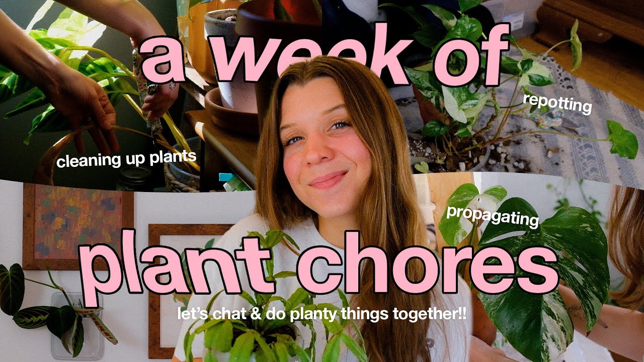 chatty week of plant chores 🪴 propagate, repot, & water with me!!