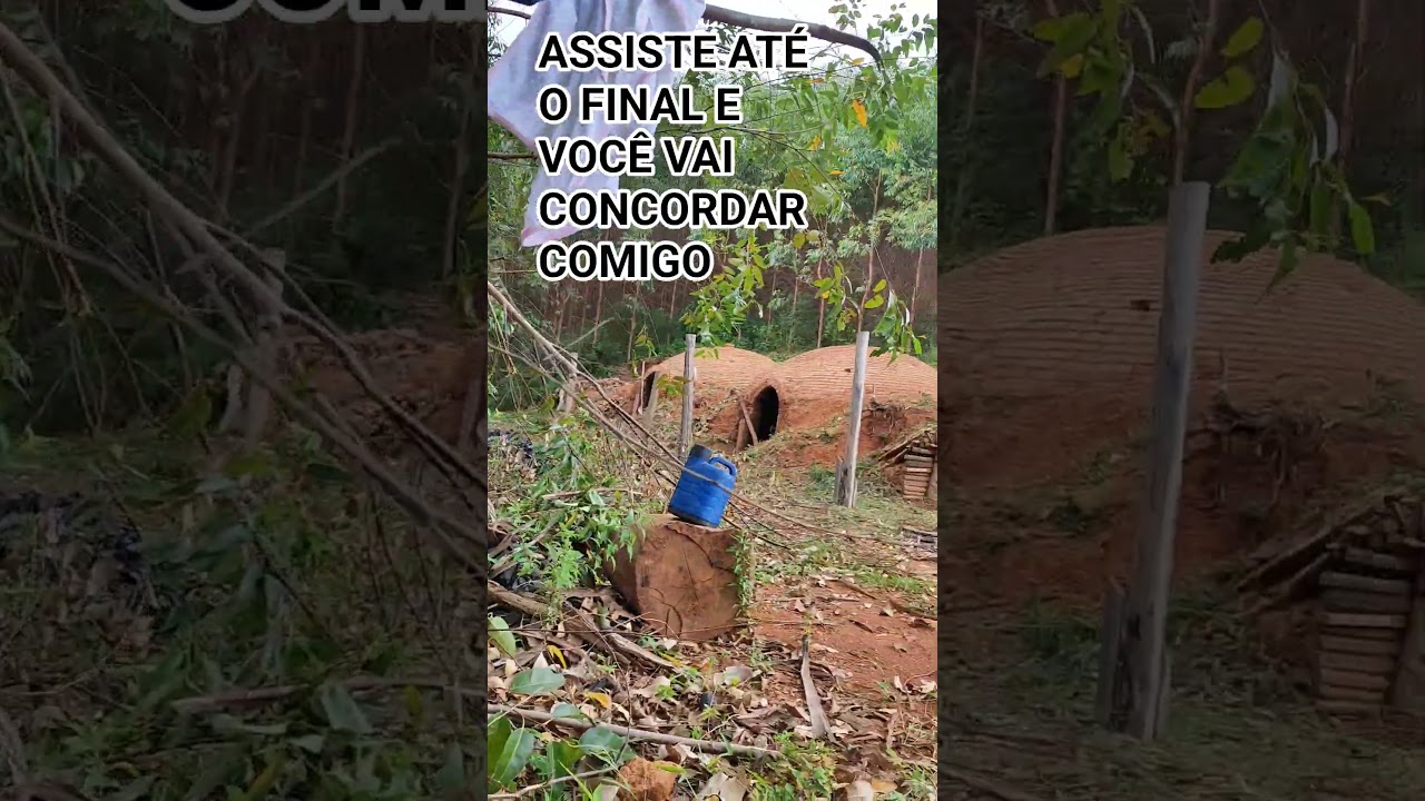 @JESUS CARVALHO 9820 PLANTAÇÕES. 🤠🇧🇷