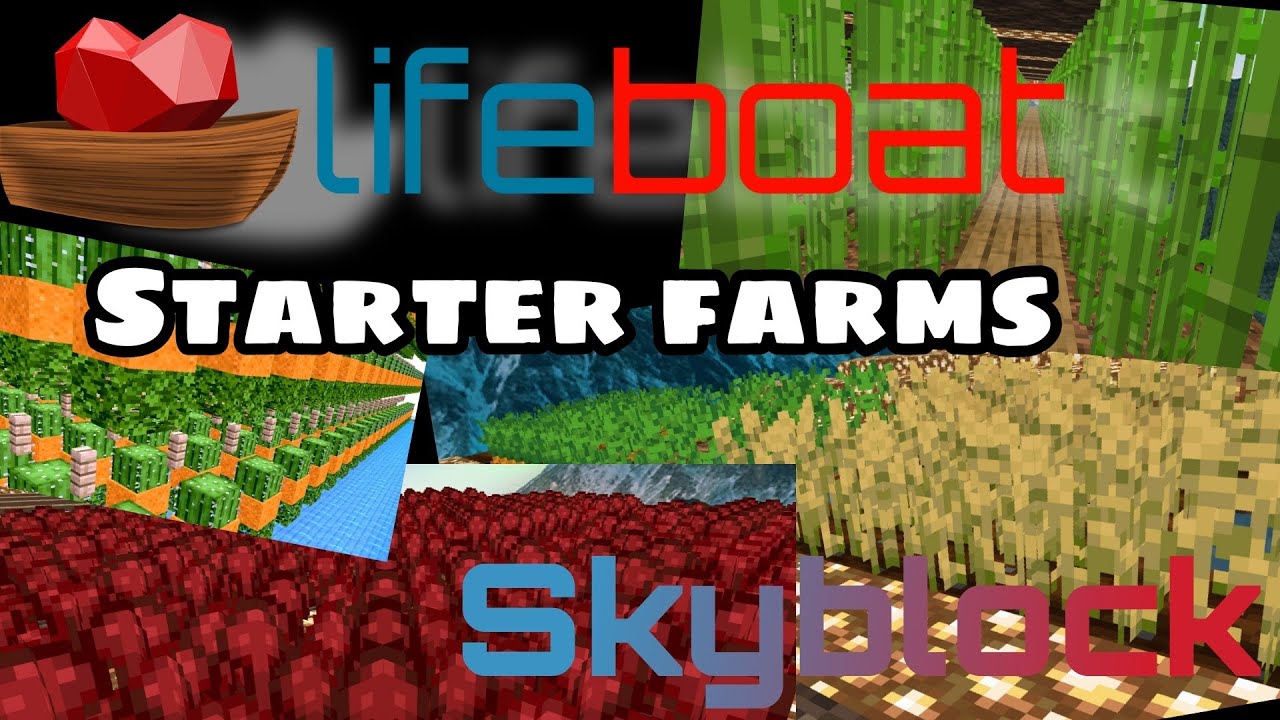 The best beginner farms on Lifeboat Skyblock