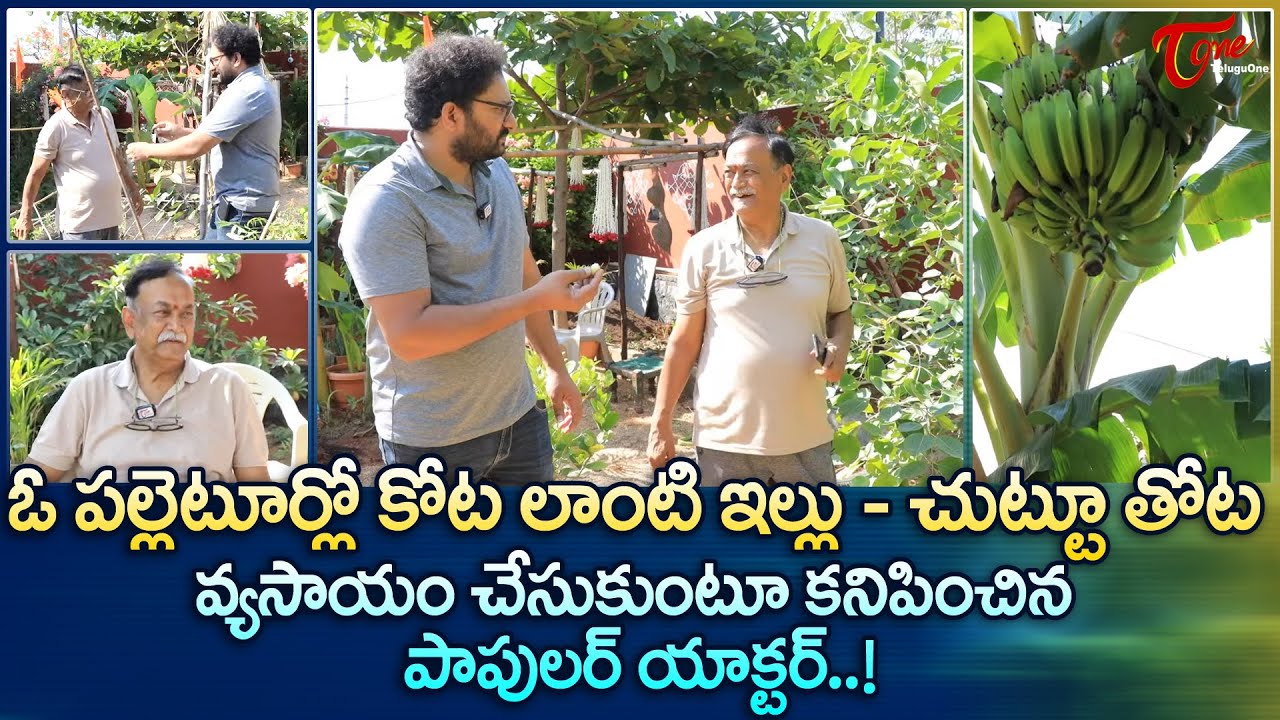 CVL Narasimha Rao Home Tour | ఓ పల్లెటూర్లో కోట లాంటి ఇల్లు - చుట్టూ తోట.. పాపులర్ యాక్టర్ TeluguOne