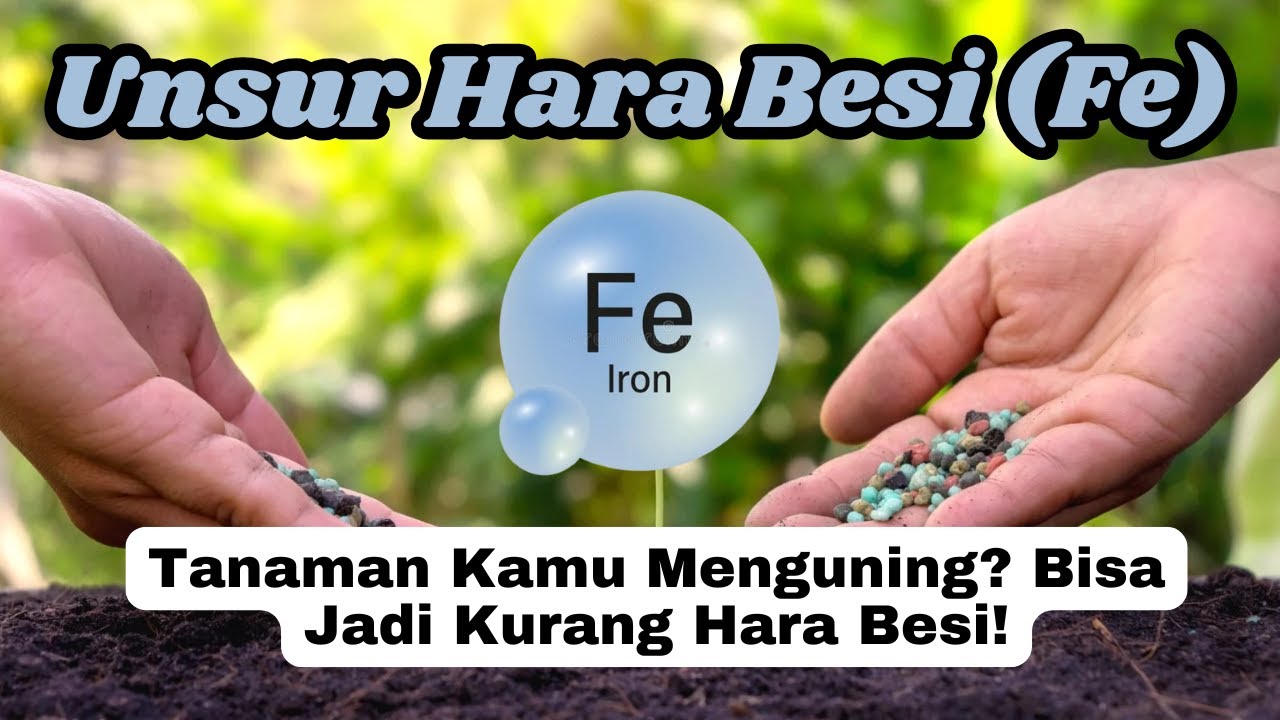 Mengenal Unsur Hara Besi (Fe): Peran Pentingnya untuk Pertumbuhan Tanaman!