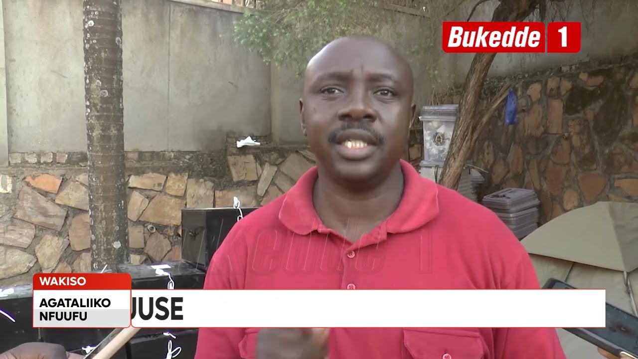Agataliikonfuufu: Okulonda ba mmeeya b'Amagombolola kwa Lwakubiri  Ebikozesebwa bituuse e Wakiso.