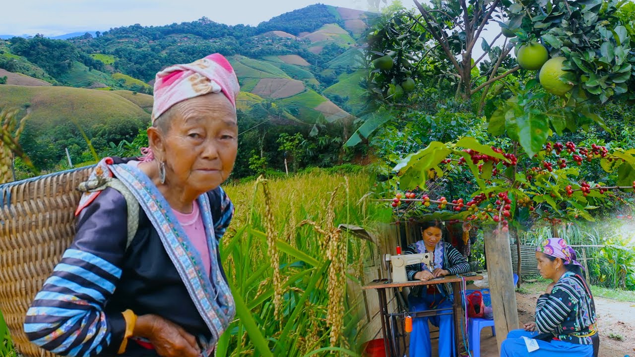 TRAVELS VISITING HMONG VILLAGES IN VIETNAM #205, 9/2020