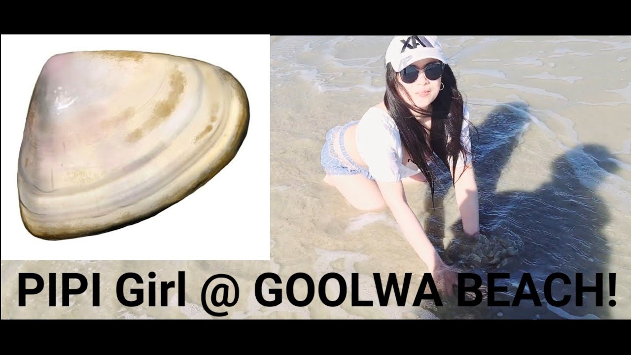 Goolwa Beach Cockling Experience|Things to do in South Australia