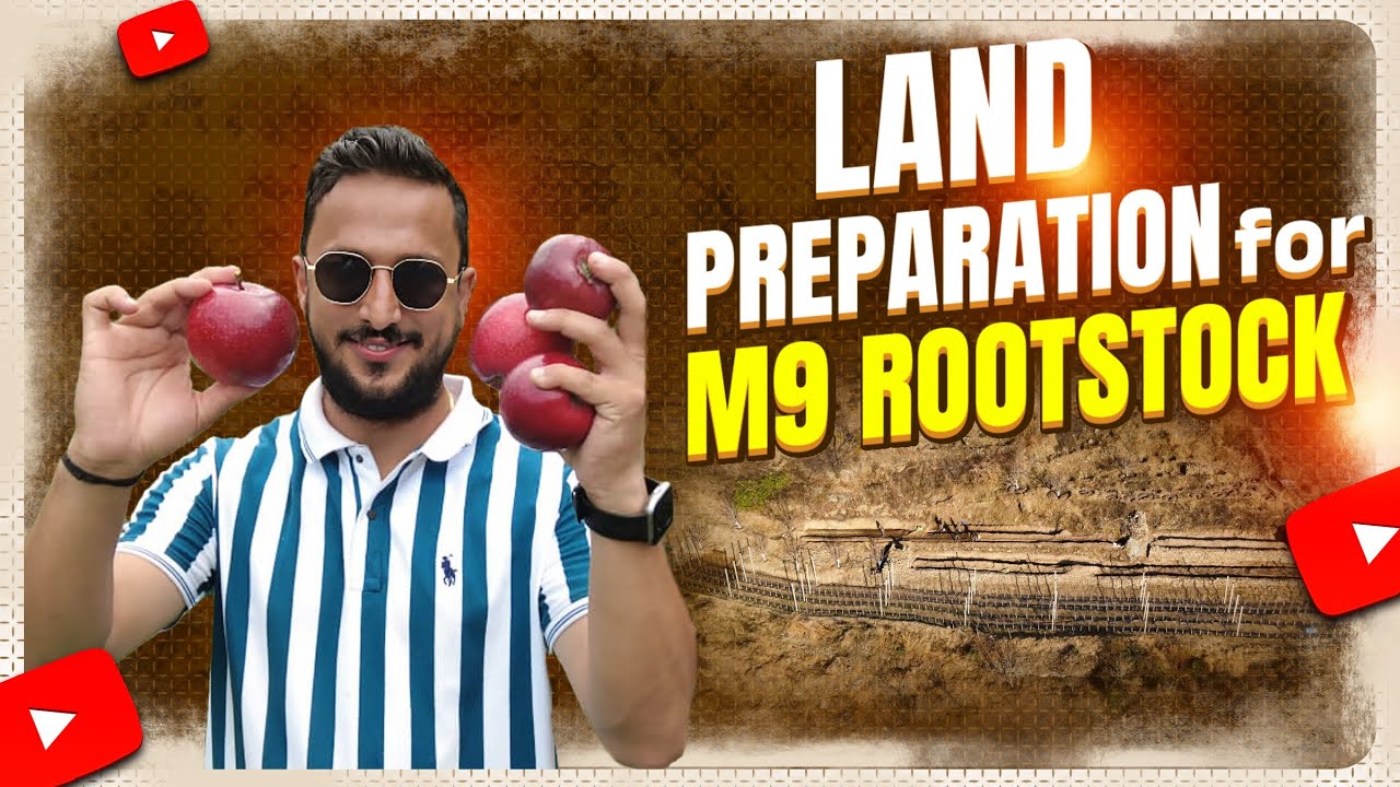 Land Preparation for M9 Rootstock. #Landscaping#apples #himachalapple #kashmir