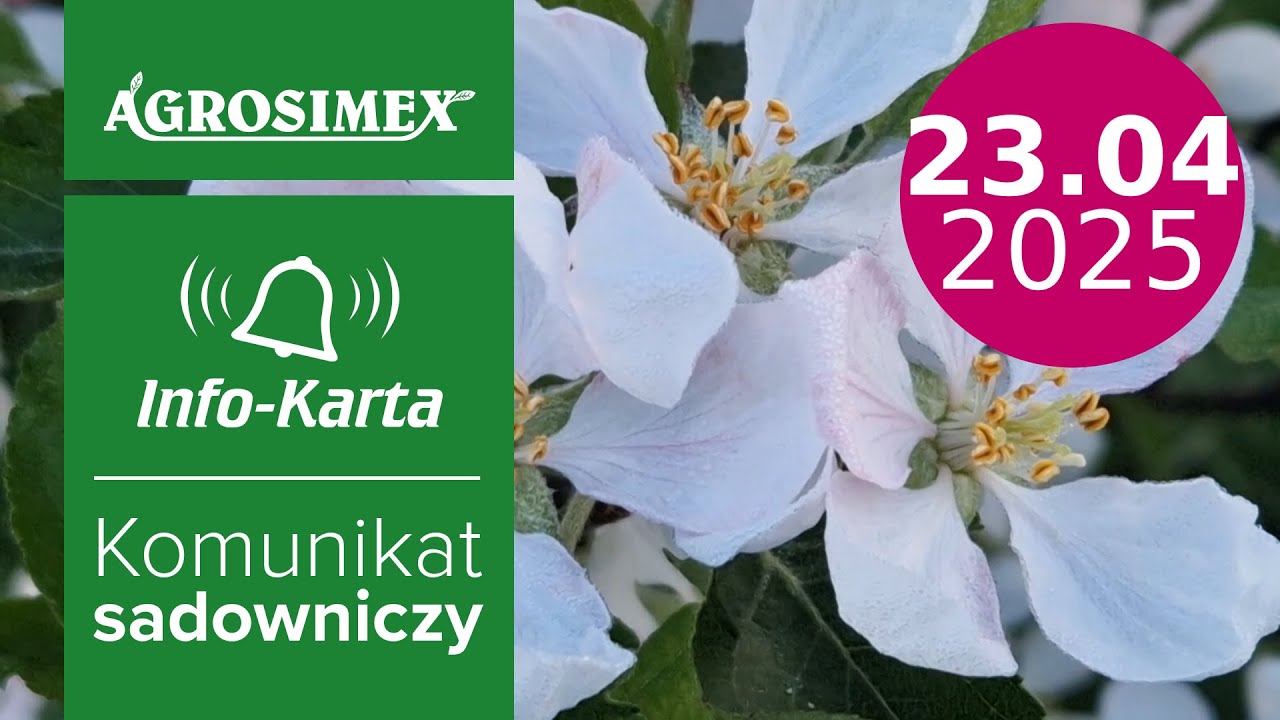 Przerzedzanie kwiatów i zabiegi giberelinowe | Komunikat sadowniczy