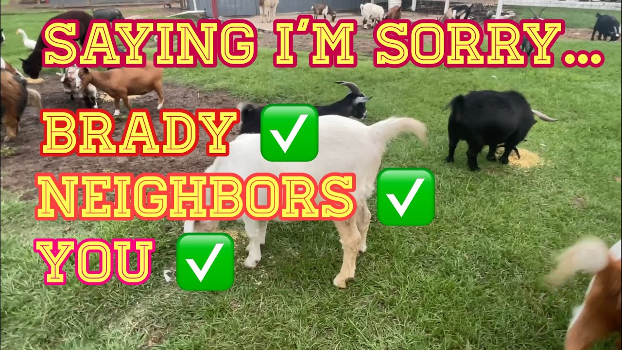 Saying I’m Sorry