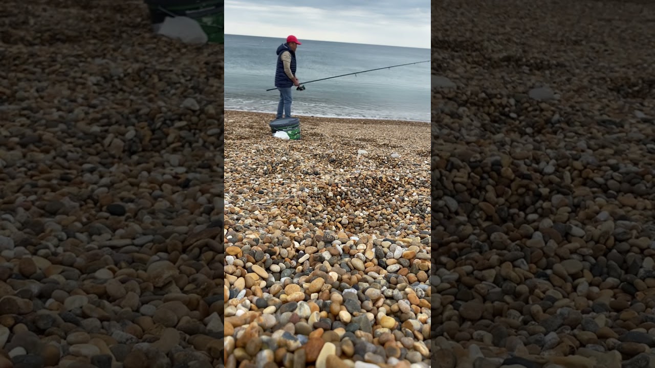 Mackerel fishing 2023