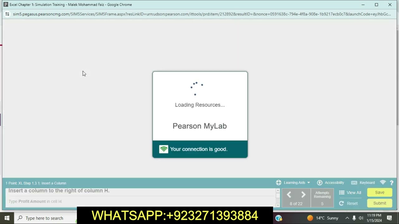 Excel Chapter 1 Simulation Training | Chapter 1 Simulation Training | Simulation
