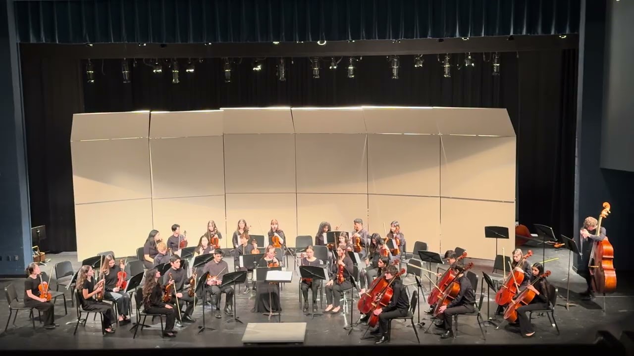 Washington Liberty high school students - Chamber Orchestra