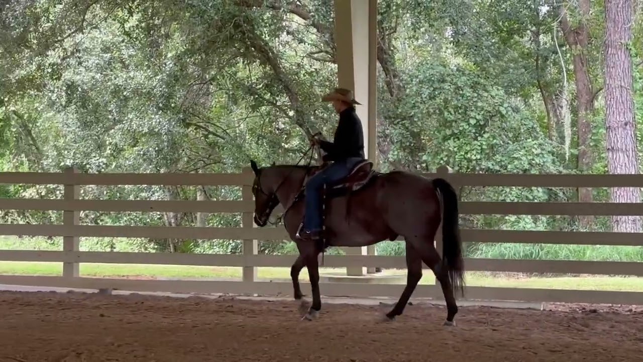 SUNSO Oct 2025/FQHR Sweet Whiskey/Mary Ann Kocolowski/Green HR Ranch Pleasure WTL