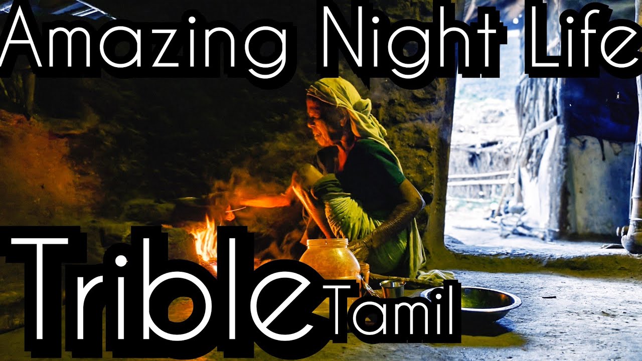 கொலை பாறை காடுதேடி போகாதே கண்மணியே! பொற்கொடி நாயகியே!|AMAZING TRIBES NIGHT LIFE|TAMIL TRIBES|TRIBLE