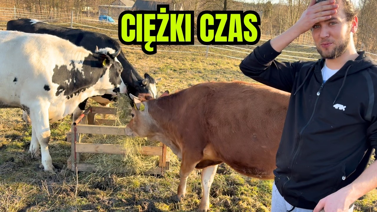 Walczyliśmy o jej życie! Ciężki tydzień na gospodarstwie...