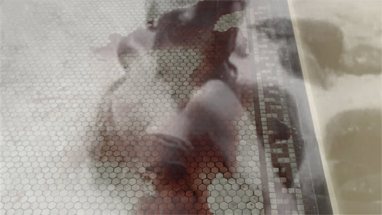 Courtney Lee Adams Jr. -  How Wonderful - w/Carol Lipnik, Buford O'Sullivan, Fred Smith, Maria Kozic