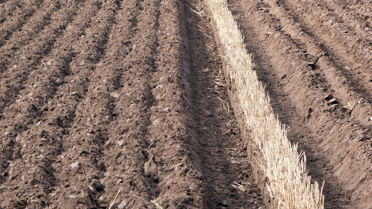 British National Ploughing Championships 2024 - Thoresby Estate, Nottinghamshire