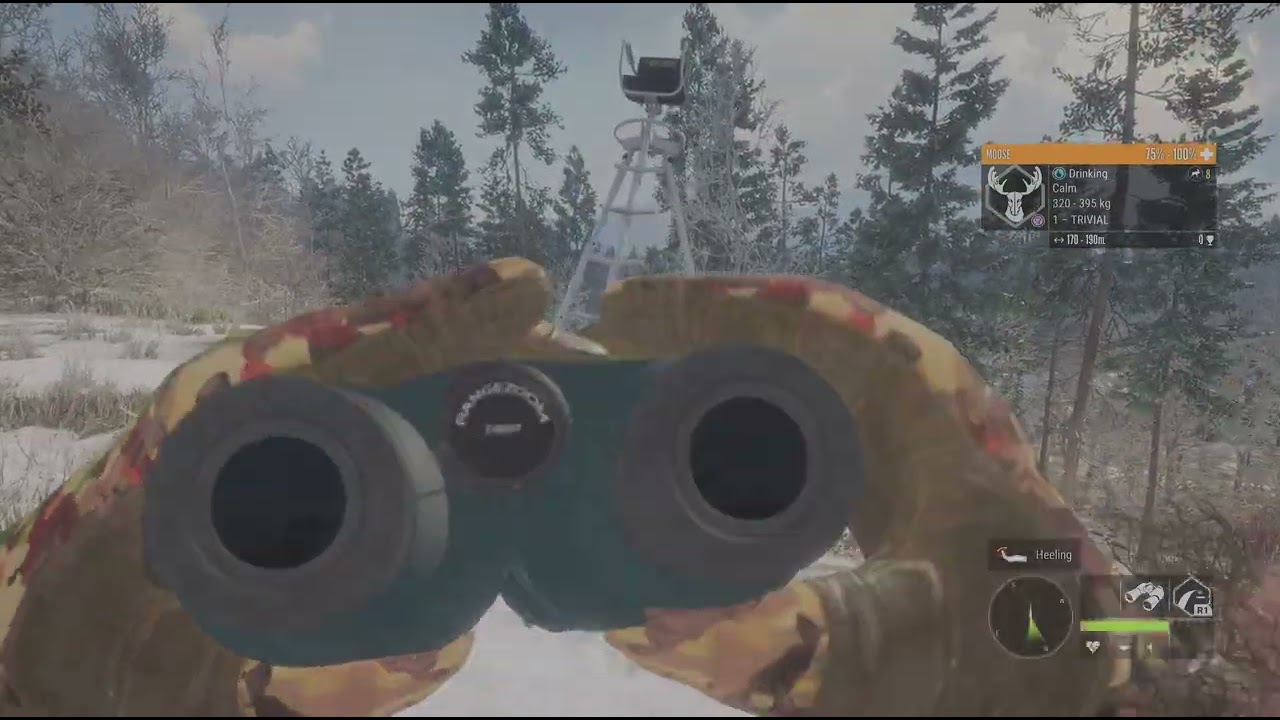 Moose hunting