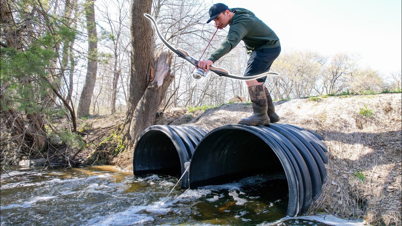 BOWFISHING a Small Creek LOADED With Fish!
