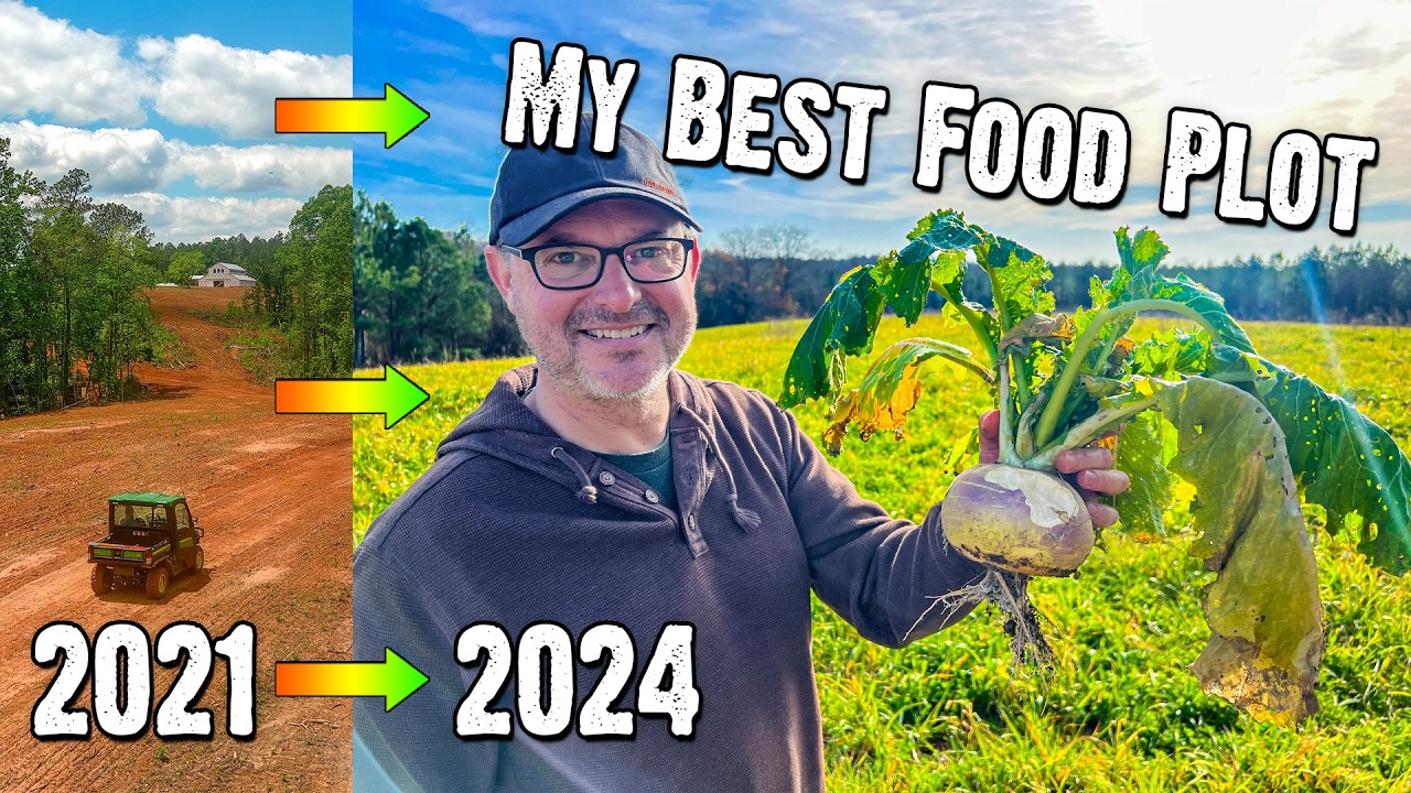 AMAZING Food Plot RESULTS - Transforming Red Clay into Healthy Soil: 4 Year Results (850)