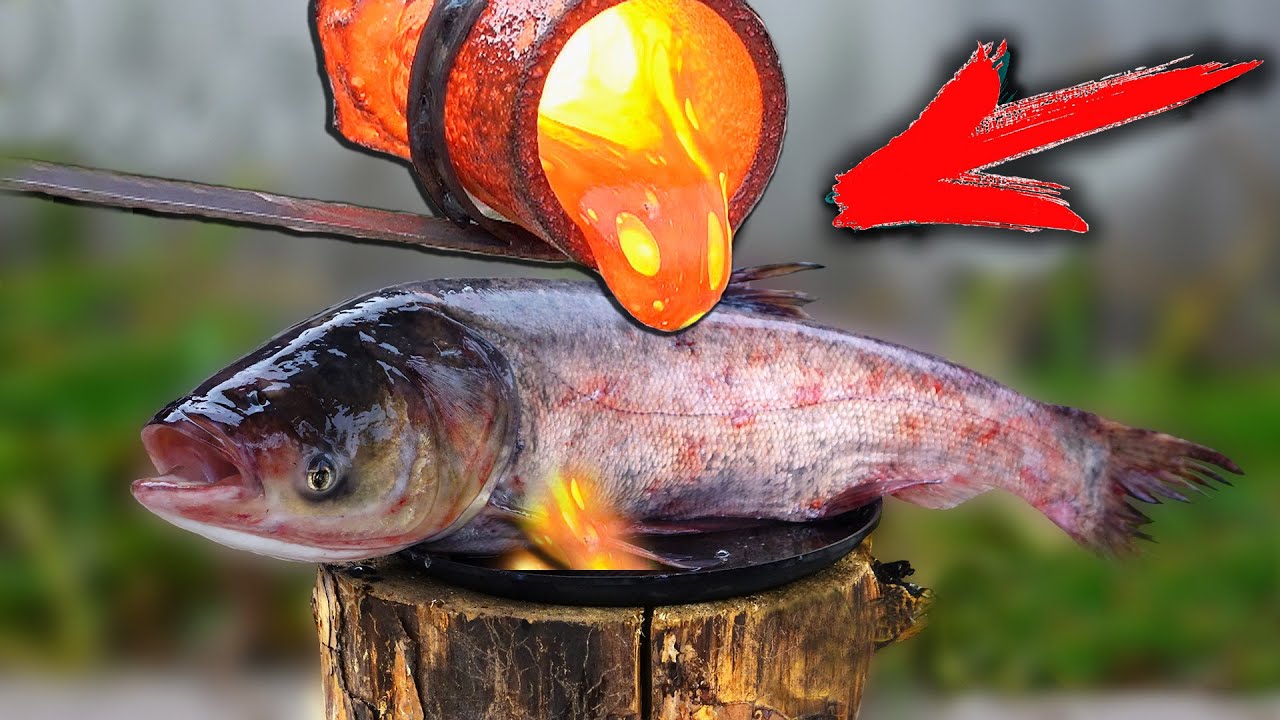 EXPERIMENT: LAVA vs  FISH
