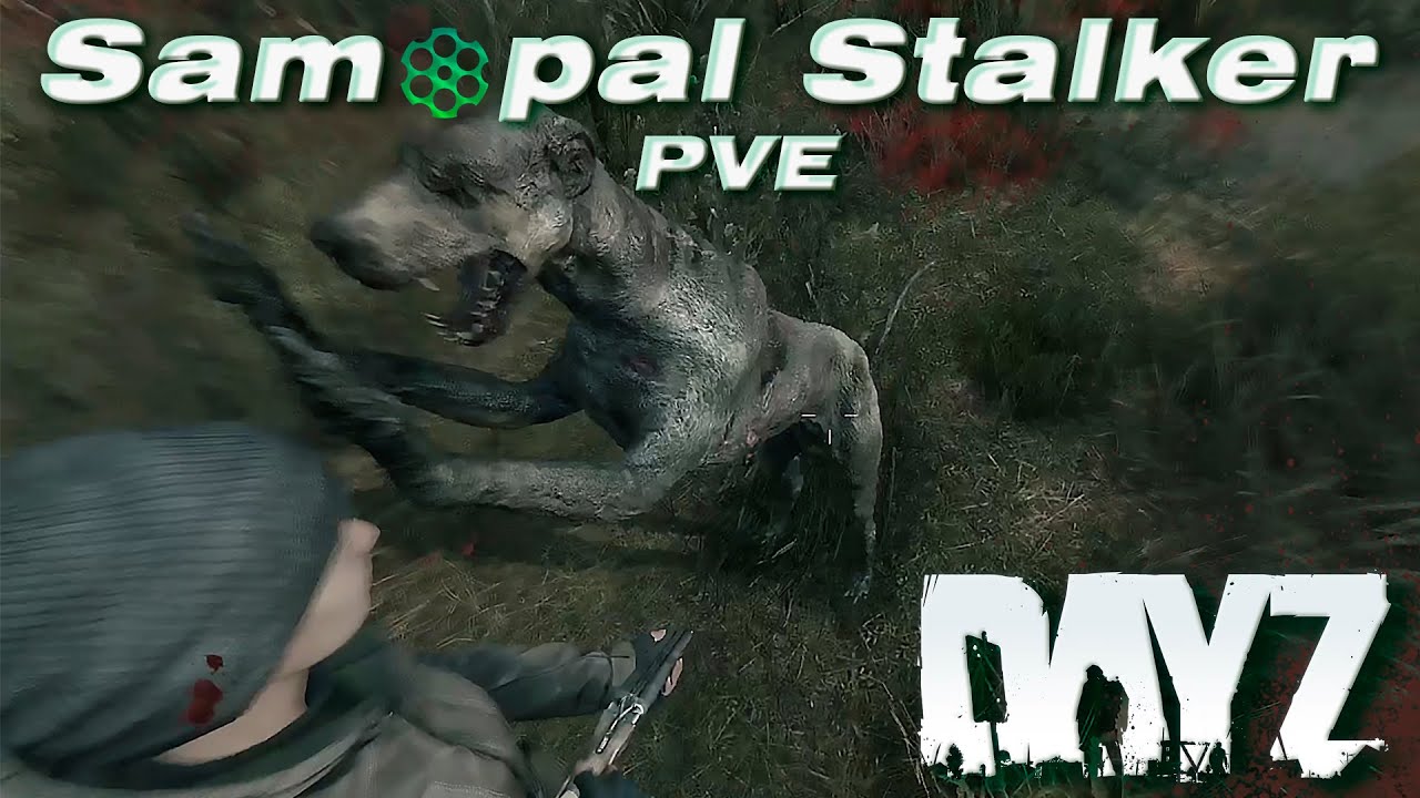 DAYZ PVE | ПРОЕКТ SAMOPAL STALKER: ДНЕВНИК ВЫЖИВШЕГО, ЧАСТЬ 1