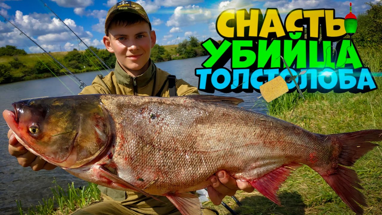 ЭТО ЛУЧШАЯ СНАСТЬ ДЛЯ ЛОВЛИ ТОЛСТОЛОБА! ЛОВЛЯ ТОЛСТОЛОБА НА ТЕХНОПЛАНКТОН. РЫБАЛКА НА ТОЛСТОЛОБА