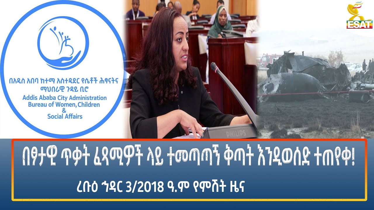 Ethiopia - Esat Amharic Night Time News 12 November 2025