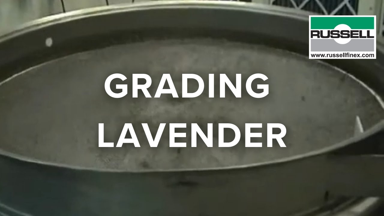 Grading lavender - Finex Separator™