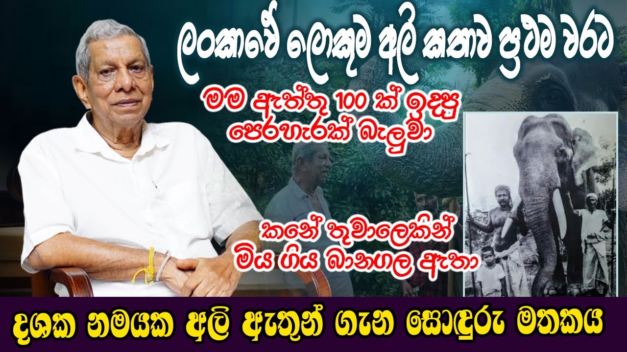 දශක නවයක අලි ඇතුන් පිළිබඳව සොදුරැ මතකය පල්ලෙබැද්දෙ ජයසේකර හාමු මහත්තයා එක්ක #heladeepatv
