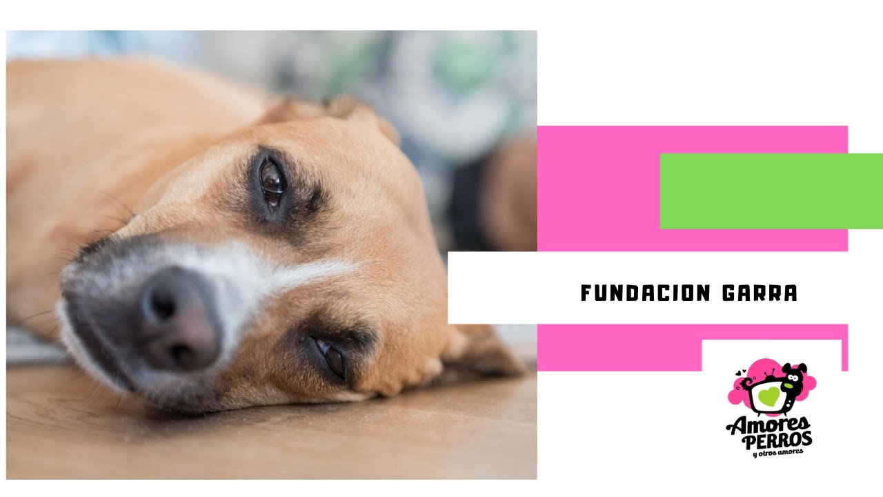 Fundación GARRA, busca voluntarios.