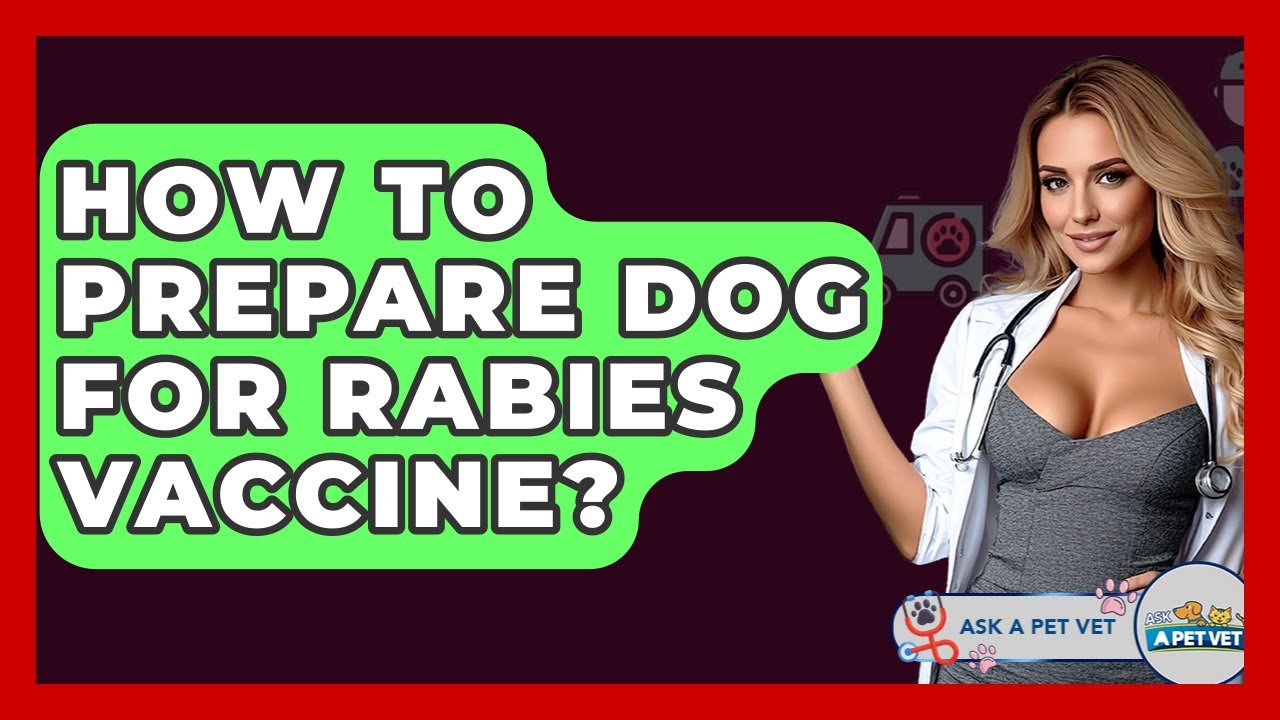 How To Prepare Dog For Rabies Vaccine? - Ask A Pet Vet